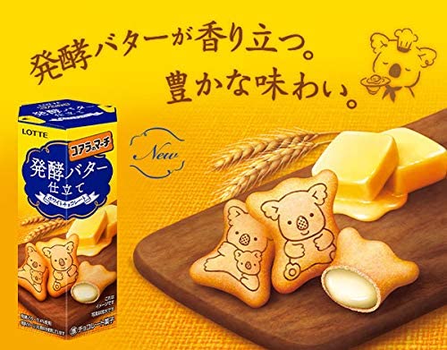 白可可奶油小熊餅乾 48g-LOTTE 樂天 日本進口製造